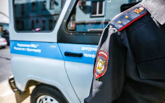 В Гусеве ранее судимый местный житель попался на краже колесоотбойника