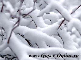 Снег в Гусеве ожидается уже в четверг