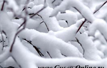 Снег в Гусеве ожидается уже в четверг