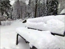 На сегодня из города уже вывезено полторы тысячи тонн снега