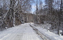 Восток Калининградской области завалило снегом