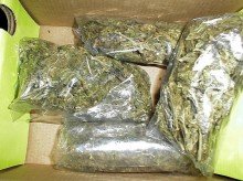 У криминального дуэта "ботаников" изъяли 9 кг марихуаны