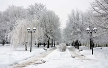 Калининградская область первая по толщине снежного покрова среди всей России и Европы