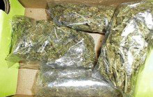 У криминального дуэта "ботаников" изъяли 9 кг марихуаны