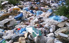 В городе Гусеве выявлены несанкционированные свалки мусора