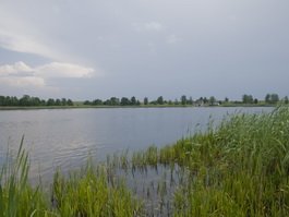 По данным на 2 августа, в области определено 44 места для купания, в их числе озеро Домашнее