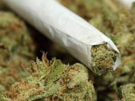 У 25-летнего жителя поселка Липово было изъято более 20 грамм марихуаны