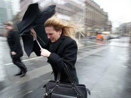 МЧС предупреждает об усилении ветра в Калининградской области на выходных