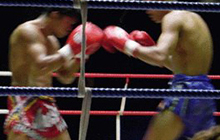 Обучающиеся ДЮСТЦ приняли участие в Кубке области по тайскому боксу