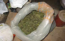 Наркополицейские нашли в квартире жителя Гусева 2,5 кг марихуаны