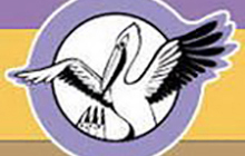 В Гусеве пройдёт слет клуба «Янтарный пеликан»