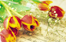 6 марта в концертном зале ДШИ пройдёт праздничный концерт «Весна идет!»