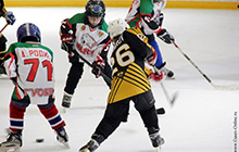 Гусевские хоккеисты заняли призовое 3 место турнире по хоккею «Янтарная шайба 2013»