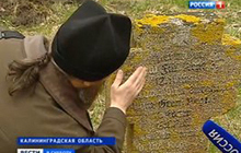Столетие Первой мировой войны: Калининградская область помнит героев
