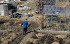 Более 90 жителей Гусева попросили предоставить им огороды