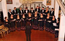 23 мая в городском краеведческом музее состоится концерт камерного хора «Кант»