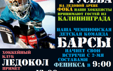 ФОК: анонс Турниров по хоккею, посвященных Дню города Гусева
