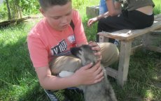 Активисты Подростково-молодежного клуба ГДК посетили приют для животных «Мы в ответе за тех, кого приручили»
