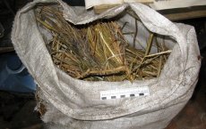 Сотрудники Гусевского УФСКН задержали мужчину за хранение более 7 кг маковой соломы
