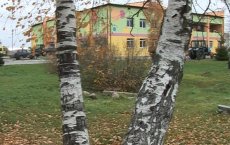В поселке Михайлово завершилась реконструкция школы