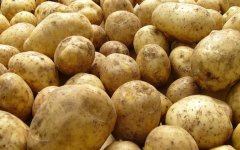 Власти рассказали, где в области можно купить картофель минуя посредников