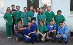 В Гусеве ветврачи-волонтёры из Германии и России бесплатно стерилизуют домашних и бездомных животных