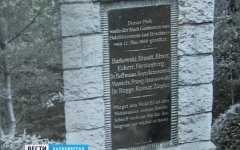 В Грэсовском лесу планируется установить памятный знак в честь его основателей