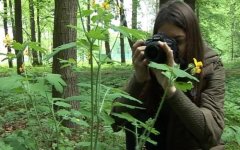 В Гусеве фотографы превратили насекомых-вредителей в моделей
