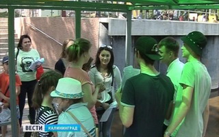 ГТРК «Калининград»: Детско-юношеский центр в Гусеве отмечает 55-летие