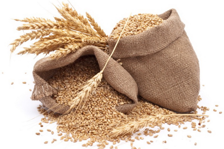 Продажа сухого и чистого зерна по ценам производителя, бесплатная доставка