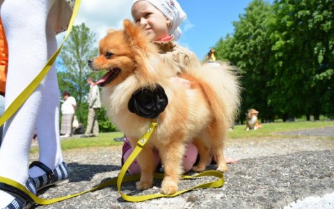 В рамках празднования Дня города пройдёт ежегодный конкурс «Я и моя собака»