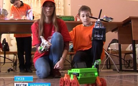 Гусевские юные робототехники успешно выступили на фестивале в Москве