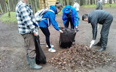 На общегородском субботнике представители ЛДПР убрали территорию в районе Грэсовского леса
