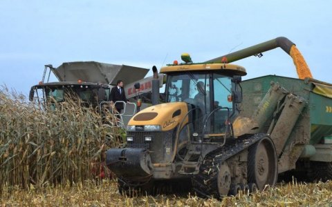 В Калининградской области введён режим ЧС из-за переувлажнения почвы