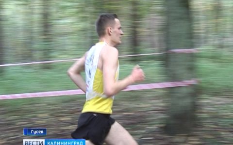 Осенний кросс в Грэсовском лесу собрал 300 спортсменов