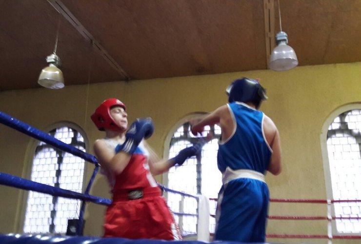 В Гусеве прошло Первенство области по боксу среди обучающихся образовательных организаций