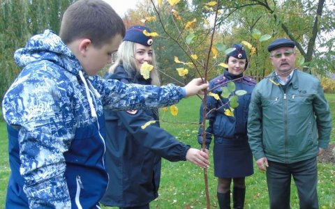 В Гусеве экологический субботник «Зеленая Россия» объединил полицейских, ветеранов и школьников