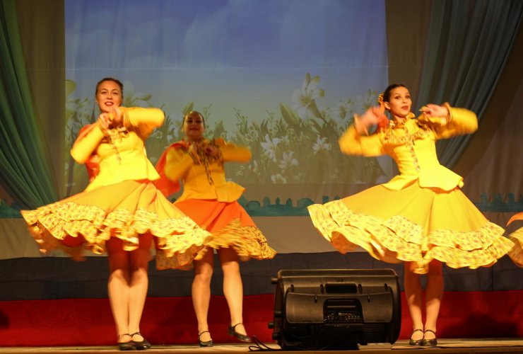 4 ноября в Городском доме культуры прошел концерт, посвященный «Дню народного единства»