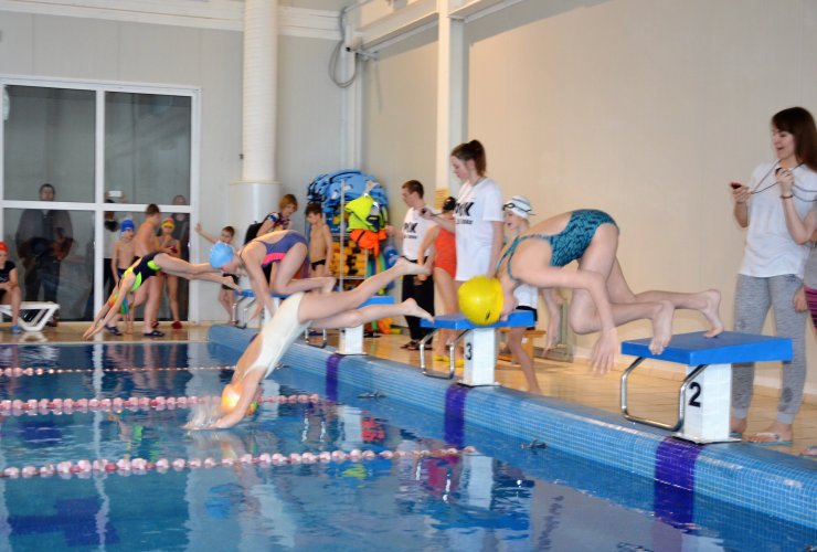 В ФОКе прошло открытое первенство по плаванию «День Брассиста»
