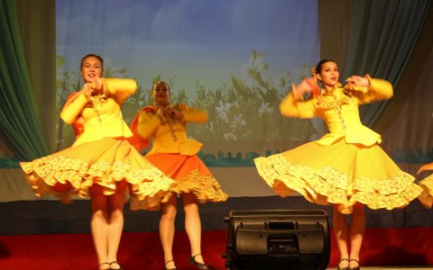 4 ноября в Городском доме культуры прошел концерт, посвященный «Дню народного единства»