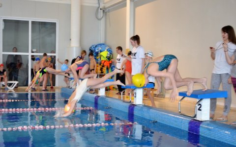 В ФОКе прошло открытое первенство по плаванию «День Брассиста»