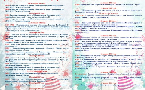 Программа новогодних мероприятий в Гусевском городском округе