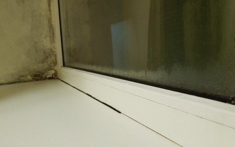 В палатах детского отделения Гусевской ЦРБ поменяют окна там, где была обнаружена плесень