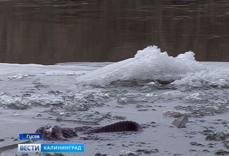 «ГТРК «Калининград»: в Гусеве пожилая женщина бросилась в реку после ссоры с мужем