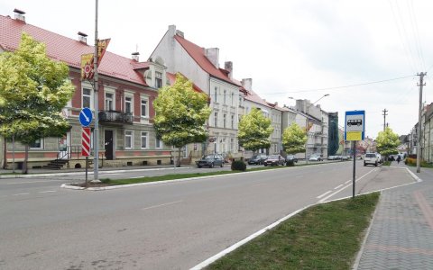 Городская администрация просит помощи в выборе вида деревьев для улицы Московской