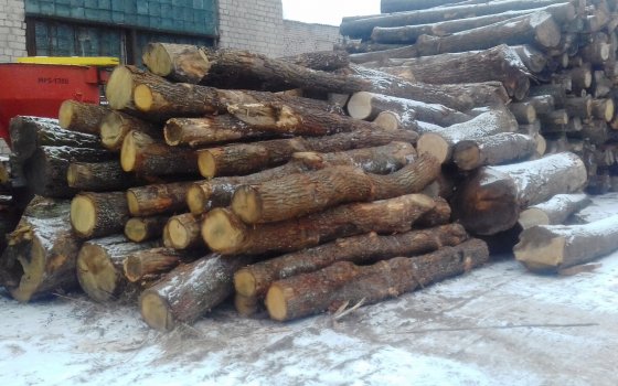 Средства от продажи древесины с места строительства ЛЭП пойдут на благоустройство ГРЭСовского леса
