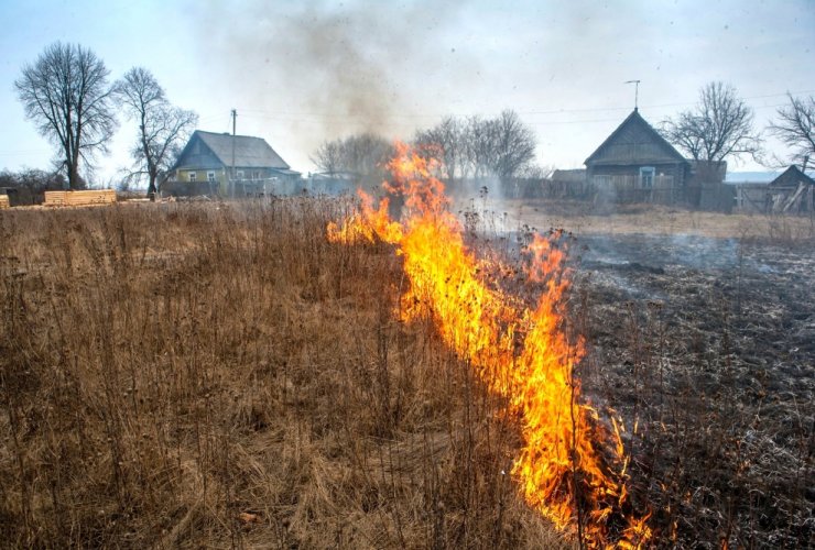 В Гусевском районе огонь от горящей травы едва не перекинулся на местное кладбище