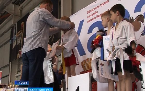 В Гусеве состоялся традиционный областной турнир по самбо памяти Александра Недвиги