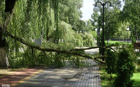 Пронёсшийся по Гусеву ураганный ветер повалил большие ветки деревьев
