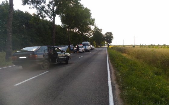 На автодороге «Поддубы-Гусев» автомобиль «Ауди» врезался в придорожное дерево